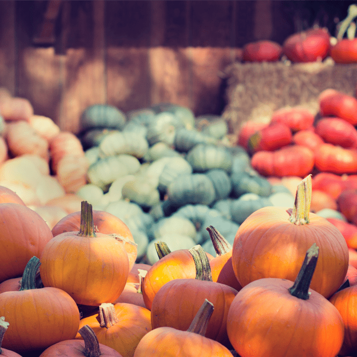 harvest fest