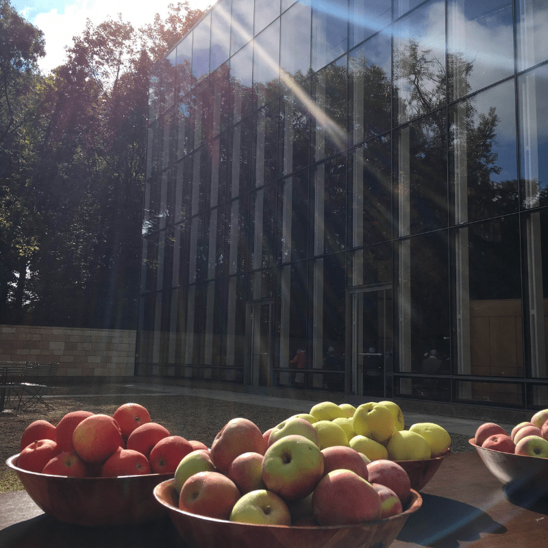 Bowls of apples on tables in front of the TBE courtyard as we celebrate Rosh Hashanah