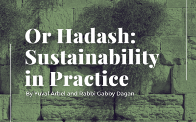 Or Hadash: Sustainability in Practice