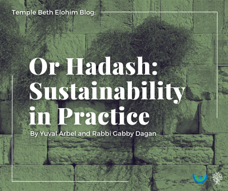 Or Hadash: Sustainability in Practice