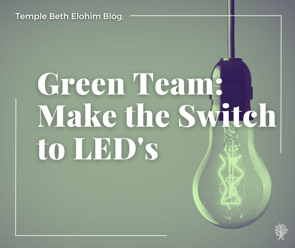 Green Team: Make The Switch to LED’s