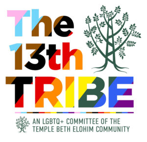 The 13th Tribe logo