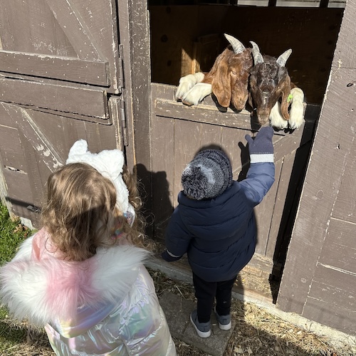Exploring Connection and Togetherness: A Family Retreat at East Hill Farm