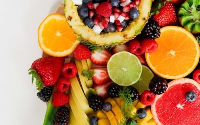 Advocating for State Assistance for People Experiencing Food Insecurity